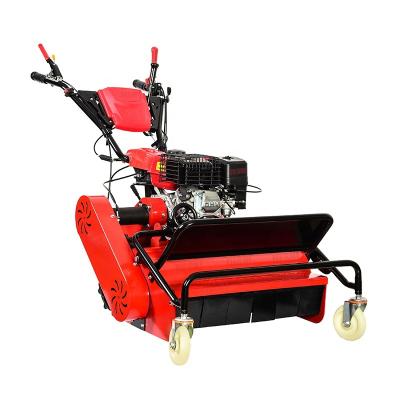 China 4-Stroke CE & Euro V   4-Stroke 212 CC  Small Gasoline Self-Propelled Hammer Blade Flail Mower Grass Cutter With Ducar Engine for sale