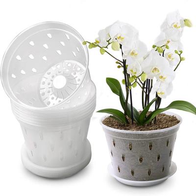 China WY Good Quality Modern Clear Orchid Pots With Holes Flower Plastic Planter Hard Plastic Orchid Pot for sale