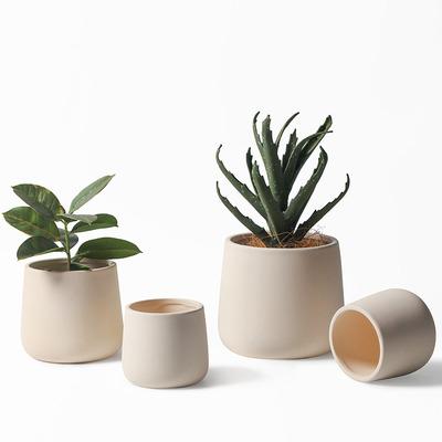 China New Arrival Minimalistic Modern Home Decoration Planter WY Pot Cement Succulent Flower Pot For Garden for sale