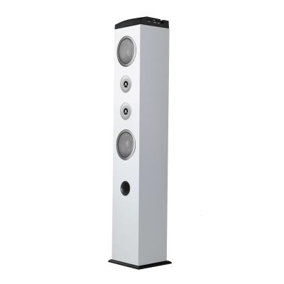 China Wireless Hi-Fi Sound System Speakers 2.0 Bestselling Home Speaker BT Tower Speaker for sale