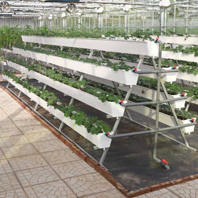 China High Efficiency PVC Groove Horizontal And Vertical PVC NFT Gutter For Strawberry Lettuce Growing for sale