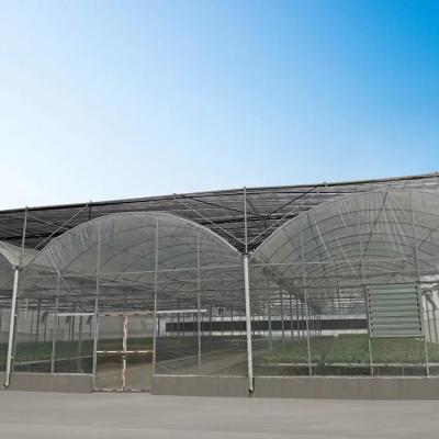 China Custom Large Pvc Greenhouse For Planting for sale