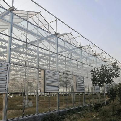 China Stable Structure Easily Assembled Factory Price Green House Plastic Multi Span Film Greenhouse Aluminum Steel Greenhouse For Growing Tomato for sale