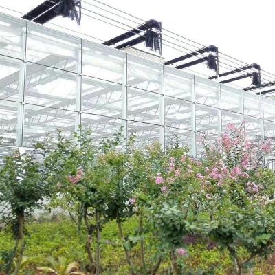 China Multi Span PVC Greenhouse Large Multi Span Tunnel PE Agricultural Hydroponic Tomato Greenhouse for sale