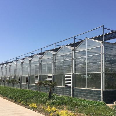 China Multi Glass Large Span Agricultural Greenhouses For Flower Vegetable Cultivation Etc. for sale