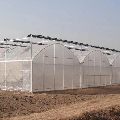 China PVC Span Green Plastic Sheet Green House Strawberry Tomato Systems Turnkey Multi Agricultural Hydroponic Vertical Growing Systems Greenhouse for sale