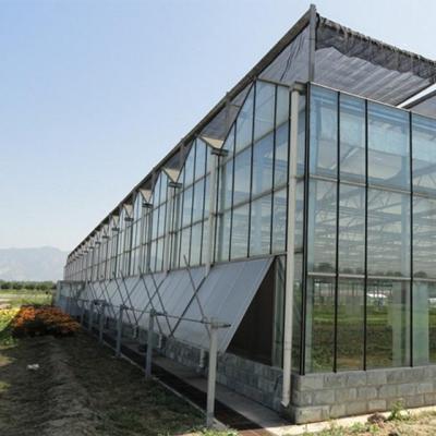 China PVC Greenhouse Shed Multi Span Shed Large Vegetables Greenhouse Shed for sale