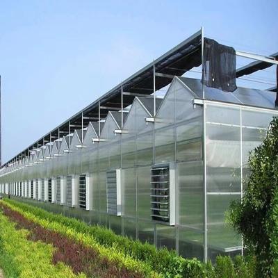 China Rustproof PVC Multi Span Greenhouse for sale