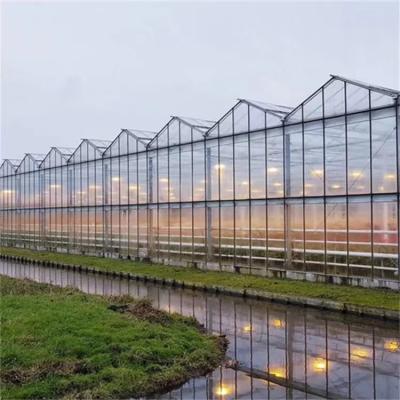 China PVC Aquaponic Farm Hydroponics Systems Green House Vertical Greenhouses Structure With Hydroponic Growing System for sale