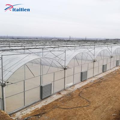 China Vegetable Planting Galvanized Steel Frame Temperature Control Greenhouse Woven Structure Plastic Film Greenhouses For Greenhouse for sale