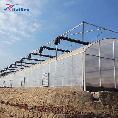 China Vegetable Planting Agriculture Equipment Multi-span Greenhouses for sale