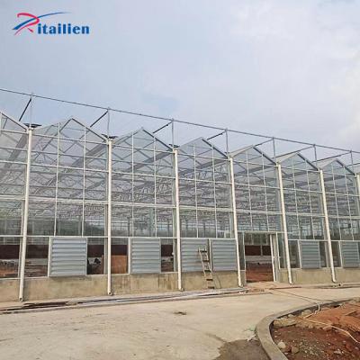 China Vegetable Fruit Flowers Galvanized Steel Frame Temperature Control Commercial-Glass-Glass Greenhouse-Glass Greenhouse for sale