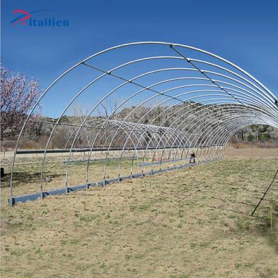 China Morocco Fiberglass Pole Span Steel Frame Double Frame PE Film Greenhouse Single Temperature Control High Strength Price Galvanized Gothic Tunnel Greenhouse For Agriculture for sale