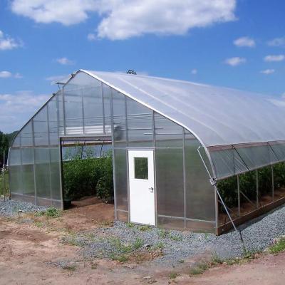 China Single span steel frame PE film envorimental greenhouse control Galvanized high span tunnel greenhouse for sale