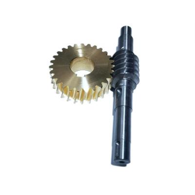 China Hotels Customized High Quality Steel Machining Globe Worm Gear for sale