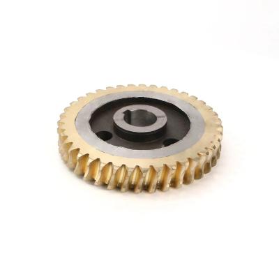 China Hotels High Precision Worm Gears Worm Gear Wheel Motor Gearbox Reducer Brass Use for sale