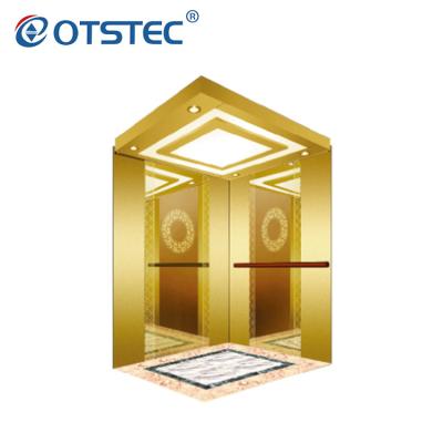 China Manufacturer Modern Private Outdoor Elevator China Design Golden Supplier for sale