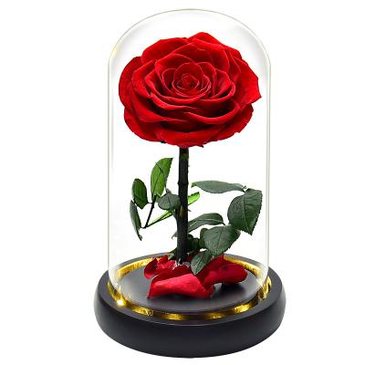 China Preserved Flower Grade 10 cm Eternal Flowers Rose In Glass Preserved Flower In Gift Box for sale