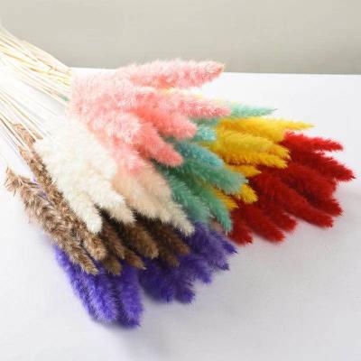 China Durable Dry Flowers Grass Wedding Small Large Fluffy Pampas Grass Decorations Original Natural Beige Home Decorative for sale