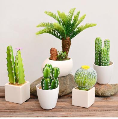 China Succulent Plants F Forever Green Plants Decoration Ceramic Succulents Fake Potted Plastic Artificial Mini Bonsai Home Office Decoration Small for sale