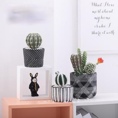 China Artificial Tropical Cactus Plants Potted Succulents Arrangements Mini Fake Aloe Potted Plants Decoration for sale