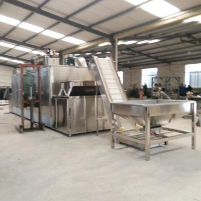 China Belt Type Pinenut Peanut Roaster Fruit Processing Plant Large Capacity Machine for sale