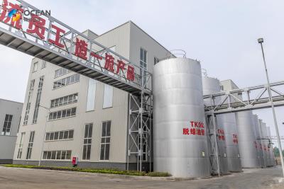 China Set Up Vegetable Oil Extraction Plant OEM Oil Processing Machine for sale