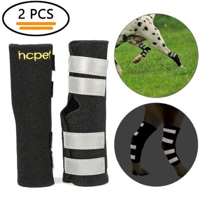 China Viable Dog Leg Back Knee Brace, Amazon Hot Seller Products, Dog Support Harness for Injury Sprain and Joint Wrap Protects for sale