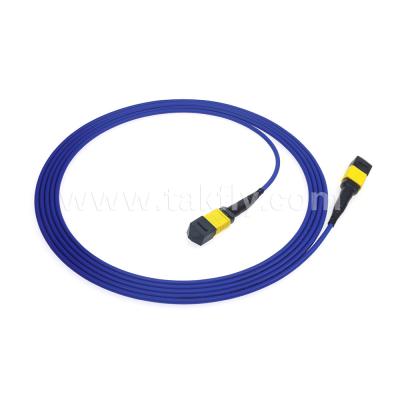 China Data Center FTTX Fiber Optic Cable MPO Patch Cord MTP Trunk Cable Armored SM MM Jumper for sale