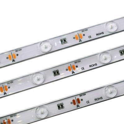 China LANDSCAPE High Brightness Waterproof Back Light Ce Rohs Smd 3030 Led Hard Light Strip 12v for sale