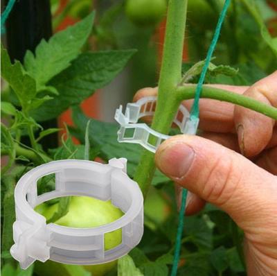 China Plastic Plant Clips Clamps For Plants Hanging Vine Garden Greenhouse Vegetables Tomatoes Clips Q20062001 for sale