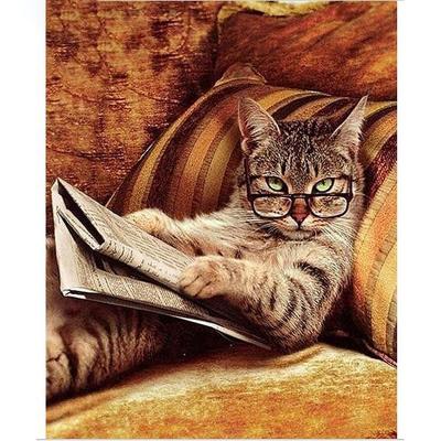 China Modern Diy Diamond Embroidery Glasses Cat Lying on Sofa Reading Book 5D Cat Diamond Painting for sale