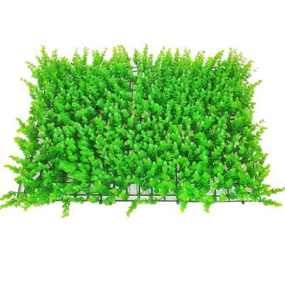 China Artificial Boxwood Hedge Creeper Moss Indoor Plant Plastic Plastic Vertical Panels Leaves Wall Green System For Decoration for sale