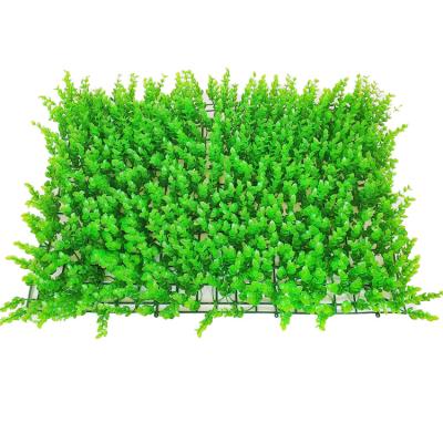 China Easily Assembled Decorative Green Artificial Carpet Grass Wholesale Plant Wall Boxwood Hedge For Green Outdoor Wall Hot Sale Products for sale