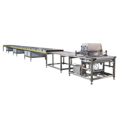 China Snack Factory QDJ Series Medium Capacity Chocolate Chip Depositing Line for sale