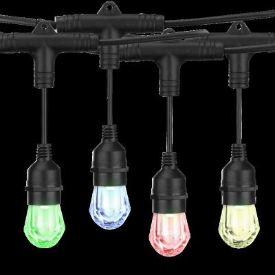 China Tuya Outdoor Smart String 24ft App Control Light Bulb 12 IP65 5 Years Warranty Outdoor Patio Lights for sale