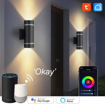 China Smart garden app control wifi wall light for sale