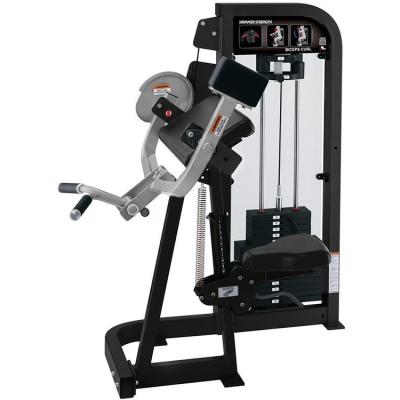 China Wholesale Commercial Workout Gym Equipment Strength Machine Biceps Curl Trainer for sale