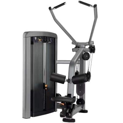 China Universal High Tension C Back Muscle Trainer Sitting Private Gym Studio To Use Strength Equipment for sale