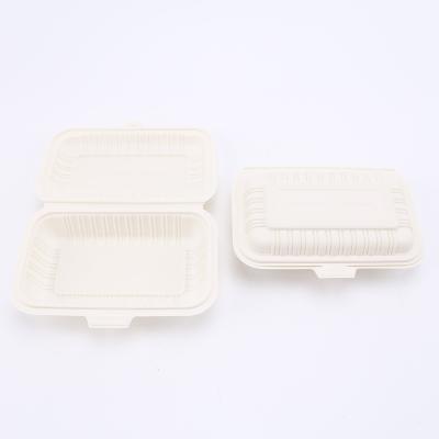 China 600ml Disposable To Go Box Biodegradable Lunch Box Food Container Box for sale