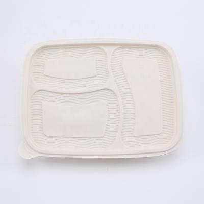 China 3 Compartment 900ml Disposable Biodegradable Food Container for sale