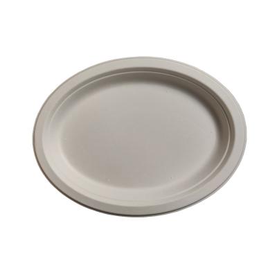 China Custom Wholesale Disposable Degradable White Dinner Dish for sale