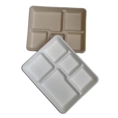 China Disposable Bagasse Disposable Cup Tray 5 Compartments for sale