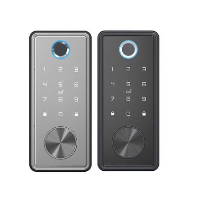 China Home Office Home Hotel TTlock Electronic Electric Smart Lock Apartments,Biometric Digital Password Fingerprint Door Lock for sale