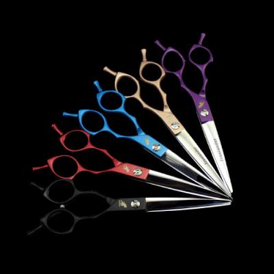 China Professional Hairdresser Thinning Scissors Japanese Hair Cutting Shear Stainless Steel Hairdressing Scissors 6.5 Inch Regular Razor Wire for sale