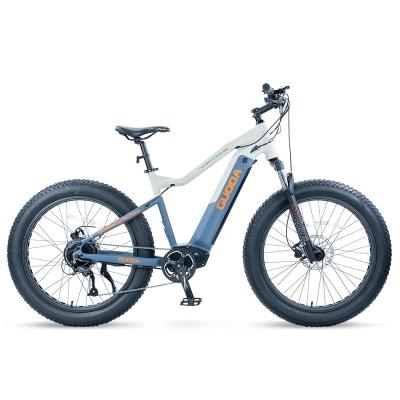 China Aluminum alloy 48V 750W/1000W 26 inch aluminum electric bike with fat tire and lithium battery for sale