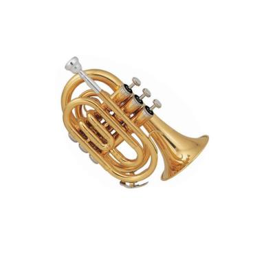 China TR101 Bb Key Mini Trumpet Brass Gold Lacquer Trumpet for sale