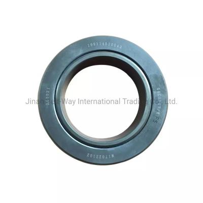 China Genuine Shacman Sinotruk Heavy Truck Part Battery Balance Shaft Bearing 199114520042 for sale