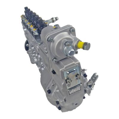 Cina Shacman F3000/F2000 Truck Part WP12 Motor Fuel Injection Pump Assembly 612601080397 in vendita