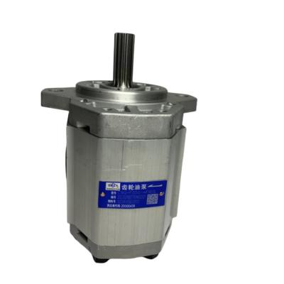 Cina Pompa di ingranaggi durevole CBQ-F550-AF13L A462-601300-000 Per CPC40-50 presso officine di riparazione di macchine in vendita